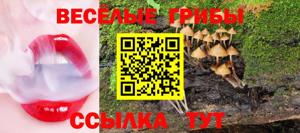 Псилоцибиновые грибы Magic Shrooms  Вход с VPN  Домодедово 